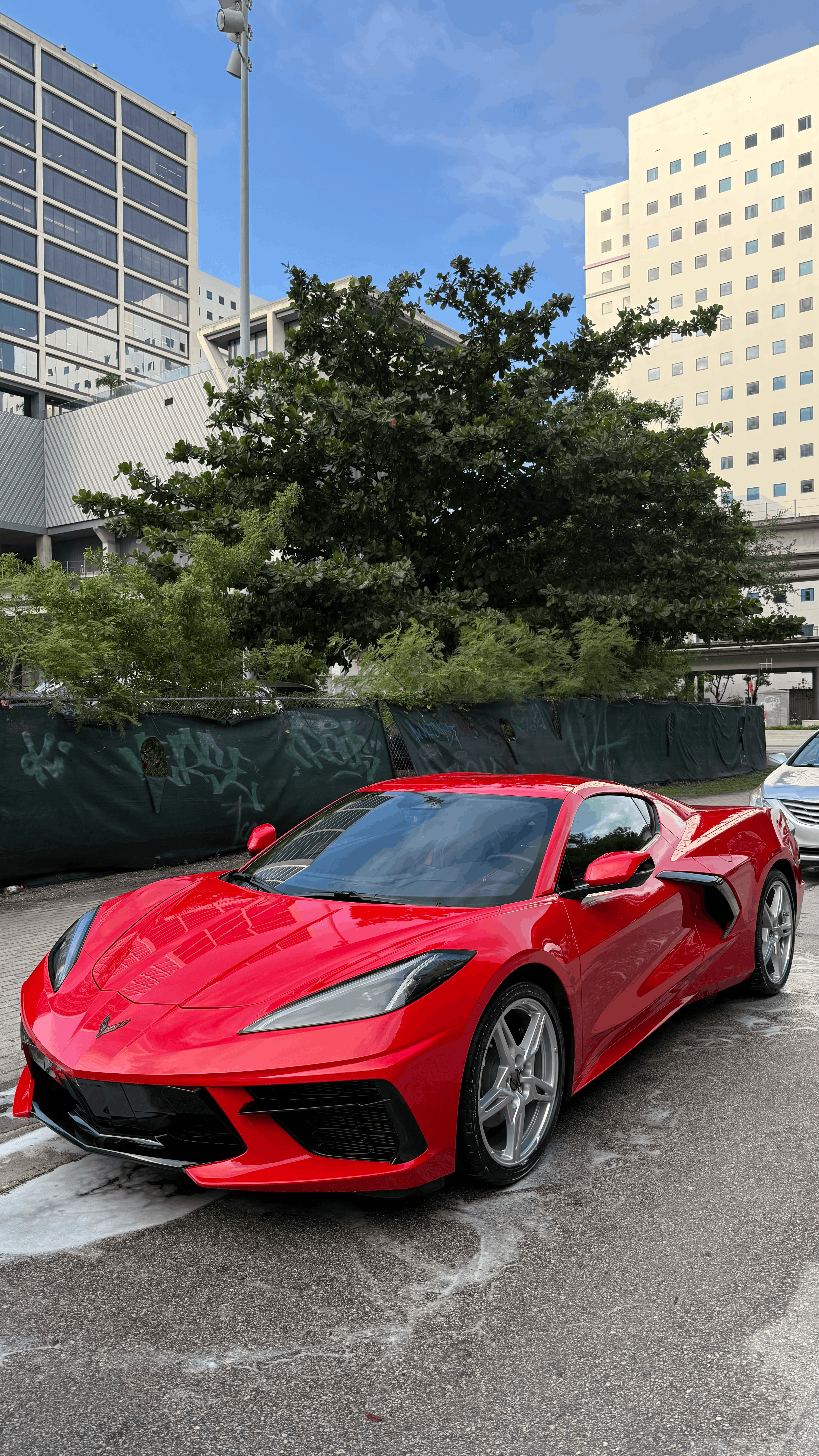 Dark luxury sedan after full exterior detail and paint correction — Teal Detailing South Florida