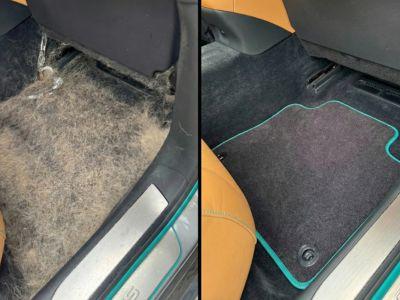 Pet Hair Removal